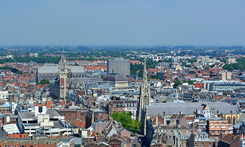 Management-de-transition-lille Management-de-transition-lille
